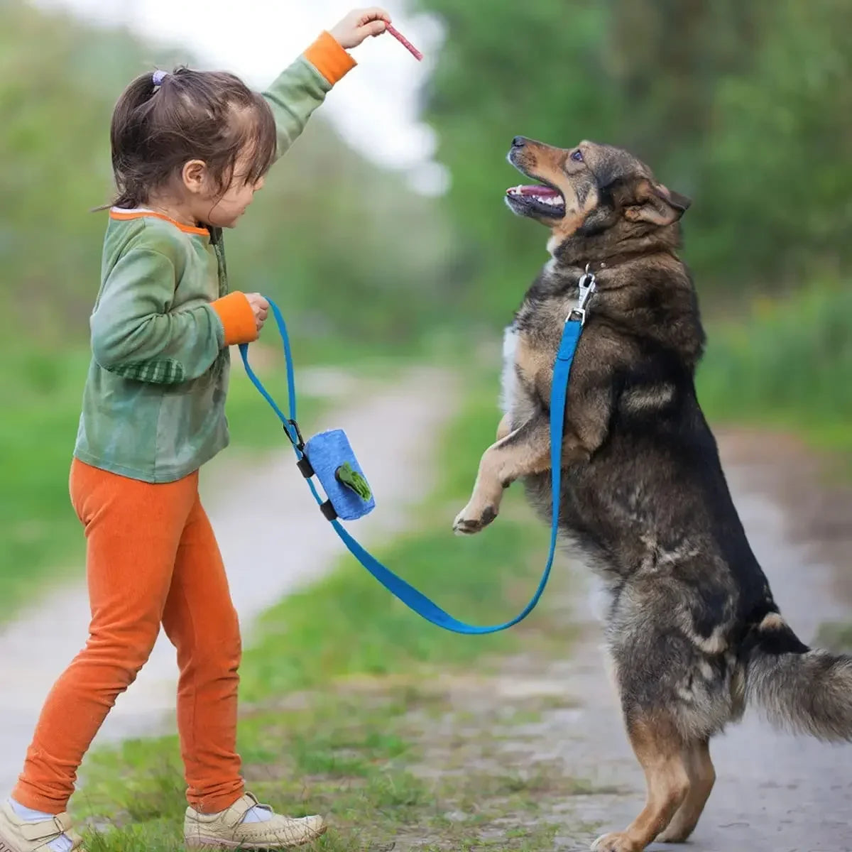 Le Compagnon de Promenade — Porte-Sacs pour Chien