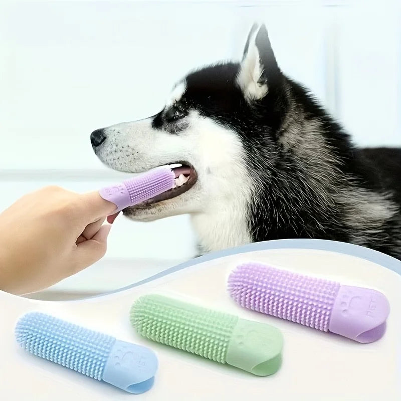 Brosse à Dents de Doigt en Silicone pour Chien et Chat
