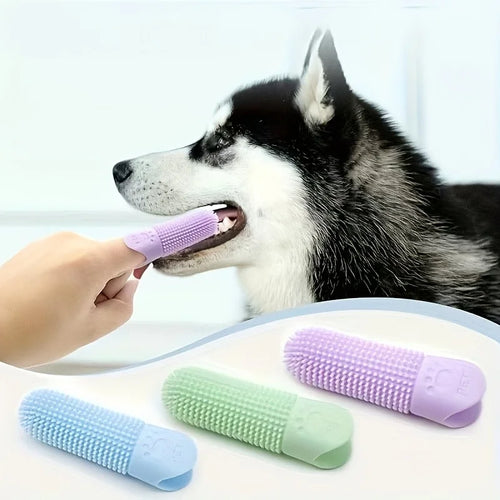 Brosse à Dents de Doigt en Silicone pour Chien et Chat